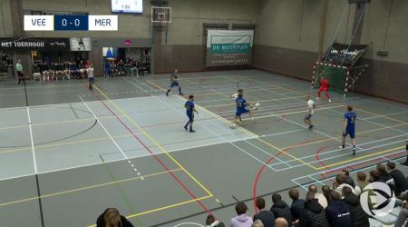 Samenvatting VEE - MER