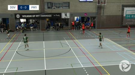 Samenvatting DOV - PAN